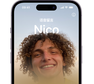 海州苹果15服务站分享iPhone15实时语音留言开启方法 